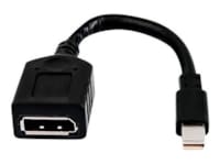 Single miniDP vers DP Câble Adaptateur