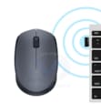 Mouse M170 910-004642
