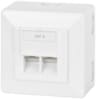 PRISE INFORMATIQUE CAT6 DOUBLE AVEC PLASTRON