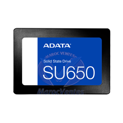 Disque Dur SSD SATA 2,5 Interne 256Go ASU650SS-256GT-R